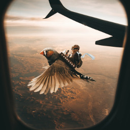 flying freetoedit