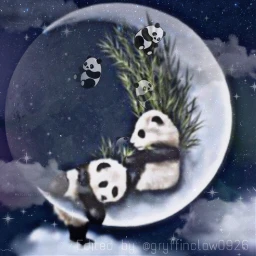 picsart like4likes follow4follow pandas cute cutelittlepandas srccutepandas cutepandas freetoedit