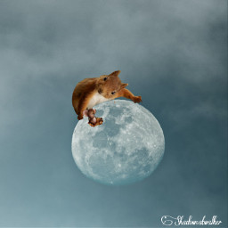 moon fullmoon squirrel mouse naptime remixed freetoedit