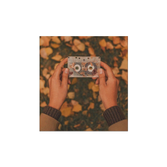 freetoedit casette vintageaesthetic otoño hojasdeotoño