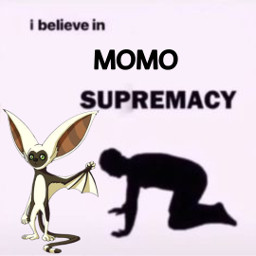 atla momo surpremecy preach