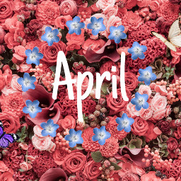 april flower spring freetoedit
