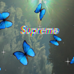 supreme freetoedit