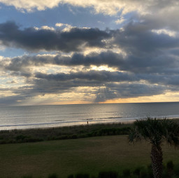freetoedit sunrise ocean clouds sea shoreline palm