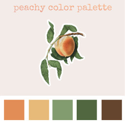 peach peachy peaches peachaesthetic color colorpalette aesthetic palette freetouse artist colors orange freetoedit