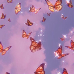 butterfly orange clouds sky color gacha aesthetic freetoedit