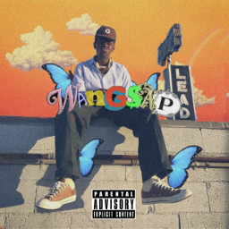 tylerthecreator wangsap golf flowerboy igor album albumcover music rap hiphop freetoedit