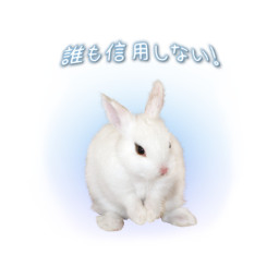 y2k angelcore bunny japancore fairycore draingang photoshop digitalart digitaldesign clothingdesign