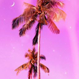 aesthetic palmtrees sky pastel moon freetoedit