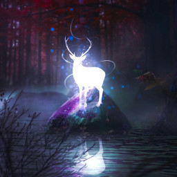 freetoedit deer glow lightingthedark fantasy forest mirroreffect manipulation madebyme madewithpicsart picsart