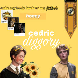 cedricdiggory hufflepuff hogwarts yellow diggory freetoedit