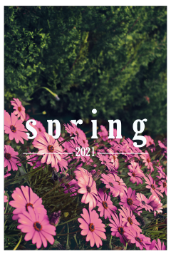 freetoedit edit sticker freesticker spring flower flowers 2021 background aesthetic freeimages diseño 180520fa pink