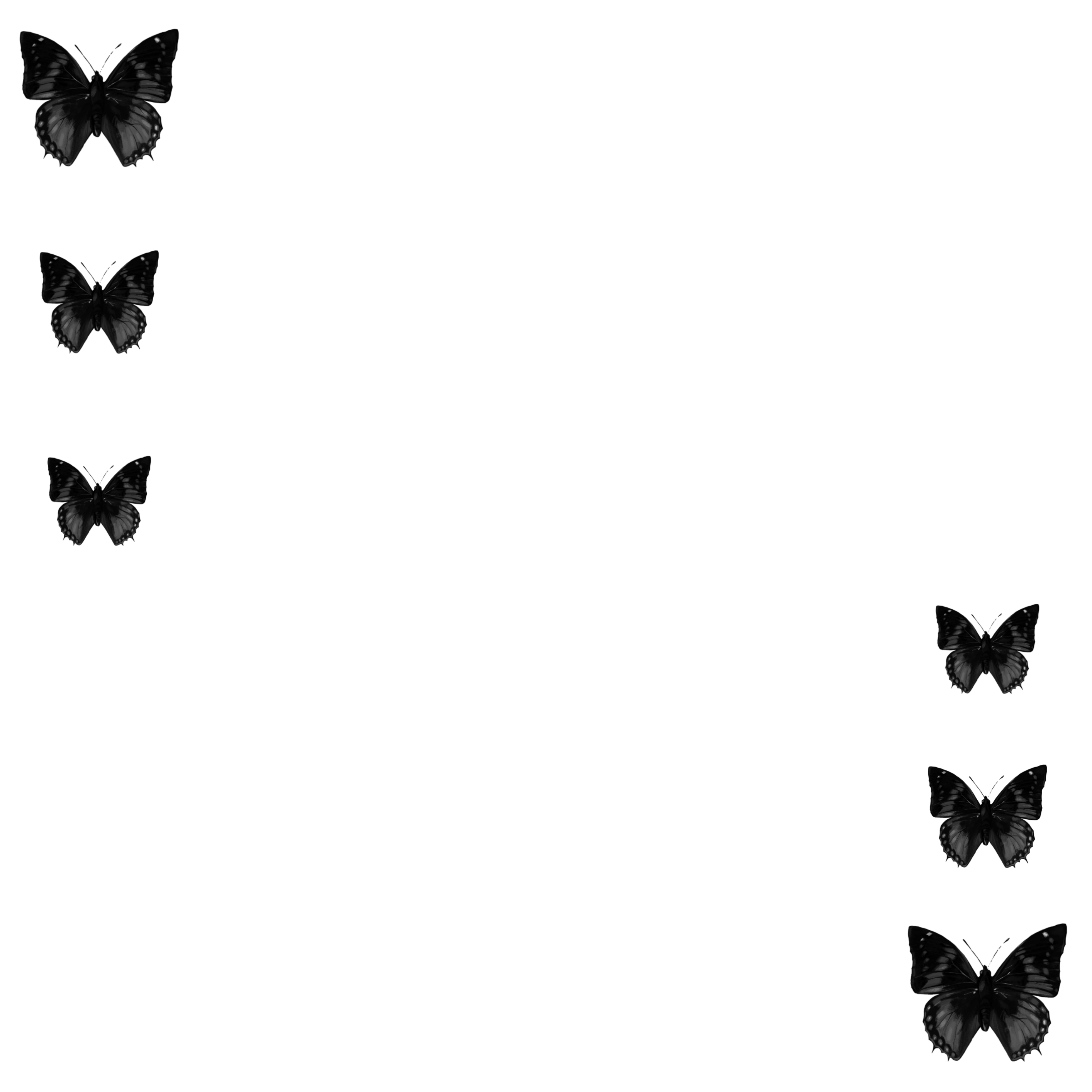 butterflies black blackaesthetic sticker by @gaby298_