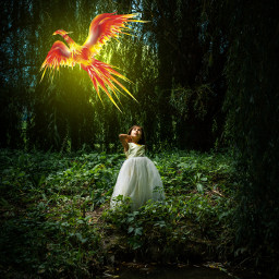 freetoedit fantasy surreal magic bird unsplash