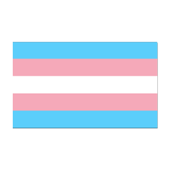 transgender transflav transgenderflag translivesmatter lgbtq freetoedit