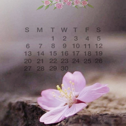 #calendar2021,#june,#srcjunecalendar2021,#junecalendar2021,#freetoedit