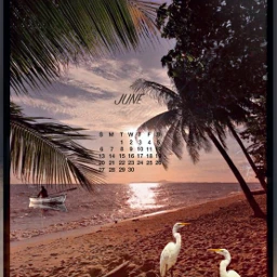 sea beach palmtrees sky sunset boat birds freetoedit srcjunecalendar2021 junecalendar2021