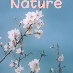 nature freetoedit