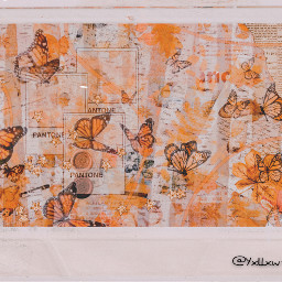 yxllxw collage cute vintage green aesthetic sticker butterfly orange pink aestheticvintage aestheticwallpaper aestheticbackground vintagebutterfly aethetic black vintageaesthetic freetoedit