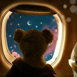freetoedit replay replays sky plane airplane bear teddybear doll