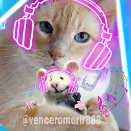 cat mouse music neon srcneonheadphones neonheadphones freetoedit