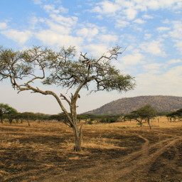 africa tanzania photography photo photograph landscape landscapephotography pcmyfavoriteshot myfavoriteshot