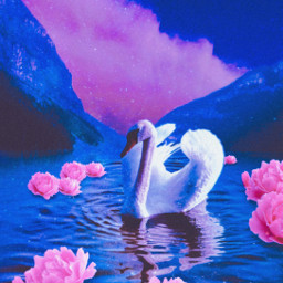 freetoedit swan white blue pink rosa water mountain lansdscape background backgroundchange