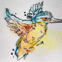 aquarela acuarela colibri colibriebird drawnbyme