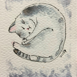 aquarela acuarela cat blackandwhite pink gato drawing easy