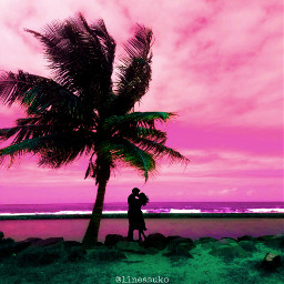 freetoedit nature beach couple silhouette tree colorpop pinkedit