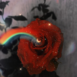 rose red redrose aesthetic aestheticedit glitter sparkle visualart moon dreamy picsart freetoedit