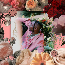 mysterylady masego dontoliver music song spotify flowers flower floral albumcover album freetoedit
