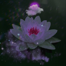 flower flowerphotography aesthetic dreamy purple sparkle cloud clouds moon pink freetoedit