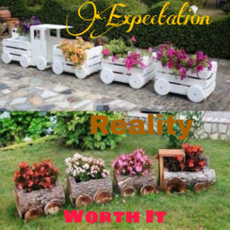 flowers plants garden train expectation reality expectationvsreality freetoedit