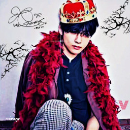 v theredking taehyung btsv army kpop idol king new kimtaehyung tigerking edit picsart like4like follow4follow followme @irene_188 freetoedit