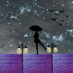 freetoedit picart weirdart brickwall purple sky birds lightpoles nightsky stars bats streets backrounds