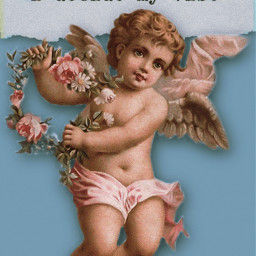 positivity oraclecard cherubangels cherub vibe selflove angel quote typography interesting art fact freetoedit