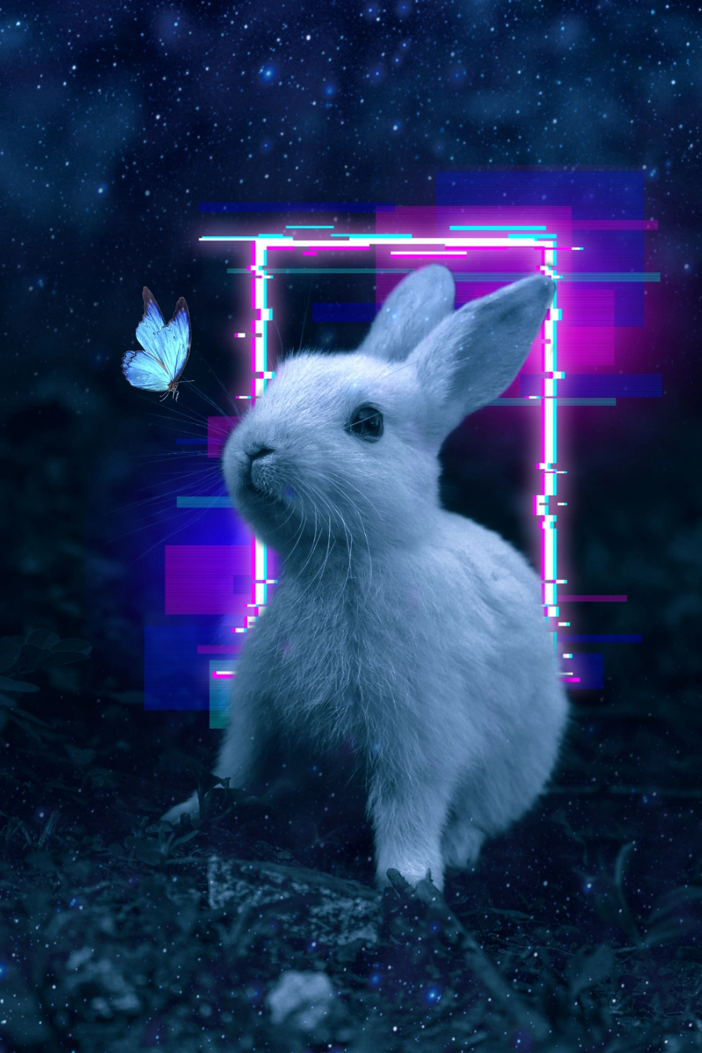 #bunniesarecute 