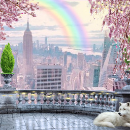 freetoedit interesting art dogs balcony flowers rainbows plants city cityviews marble picsart picsartusa summer