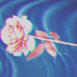 art artistic artstyle flower wave rose ripple glitch pop glitter vintage creativity like follow thanks unsplash