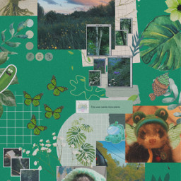green greenaesthetic wallpaper ferret ferrets ferretedit aesthetic aestheticwallpaper plants plant freetoedit
