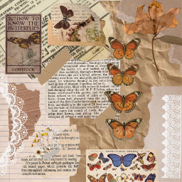 freetoedit butterflyaesthetic papercollage