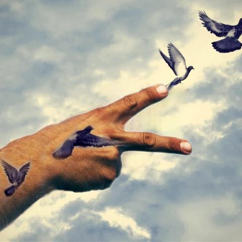 #doves,#peace,#hand,#clouds,#heypicsart,#ircpeacesign,#peacesign