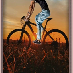 man bicycle nature field editbyme ircelevating elevating