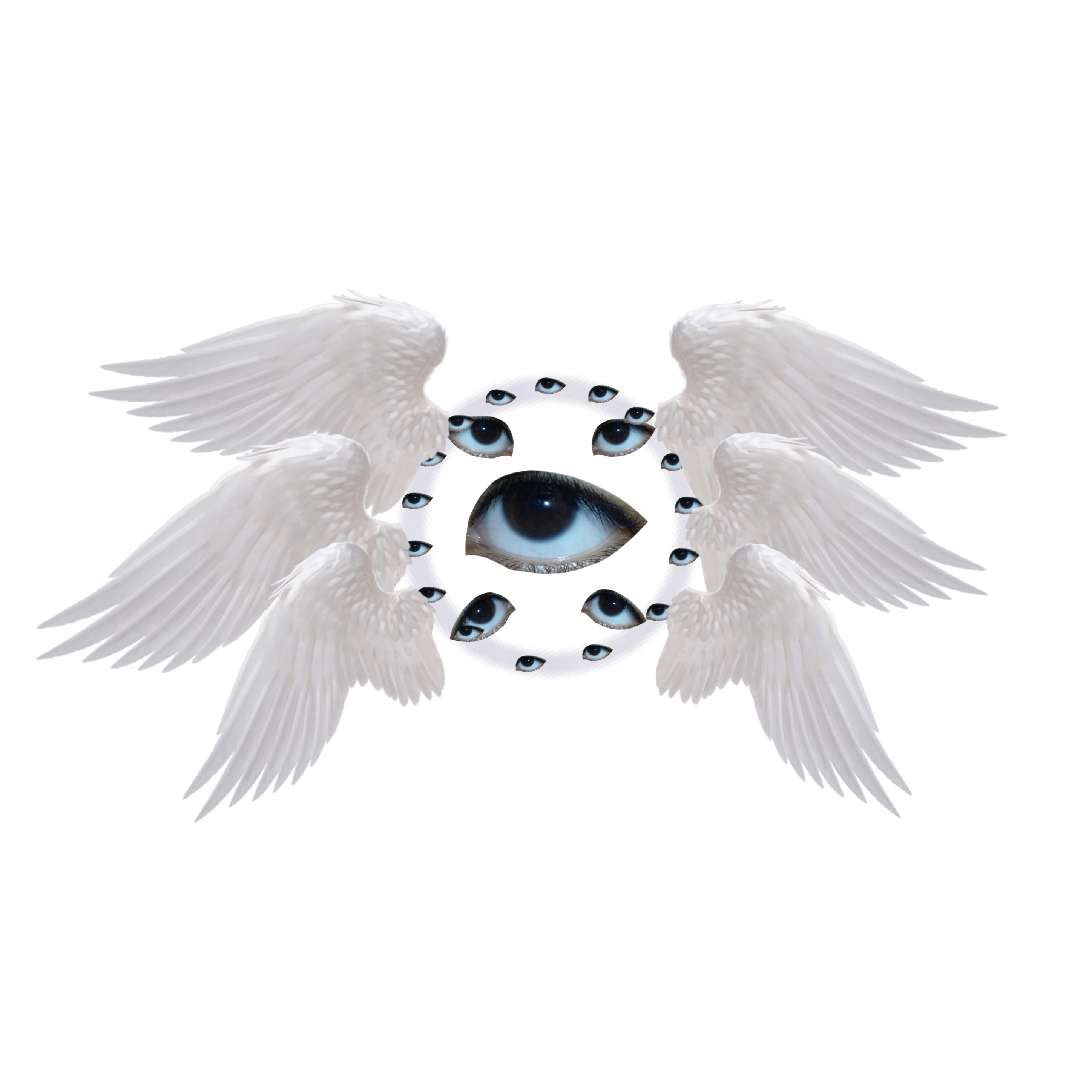 weirdcore eyes and wings | Sticker