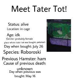 hamster roborovski robotoskihamster death status