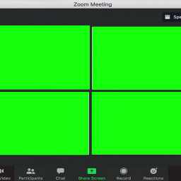 freetoedit zoombackgrounds zoomcall zoom green greenscreen zoomgreenscreen
