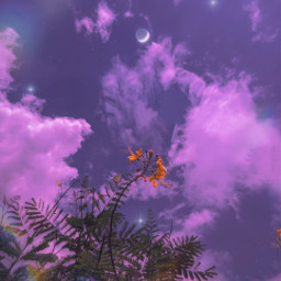 aesthetic aestheticedit freetoedit remixit moon cloud flower yellow pink purple stars clouds picsart
@picsart picsart