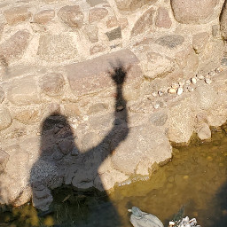 shadow profilepic pond rocks freetoedit