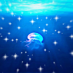 jellyfish ocean